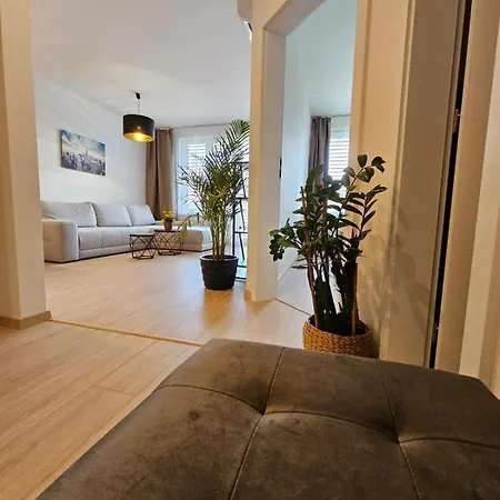 2 Apartment, New Building, Bosákova Street, 49