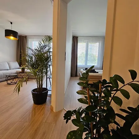 2 Apartment, New Building, Bosákova Street, 49 Apartmán